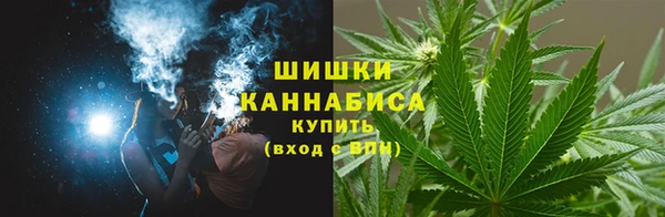 прущие грибы Вяземский