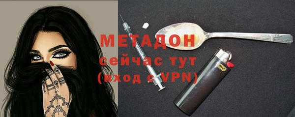прущие грибы Вяземский