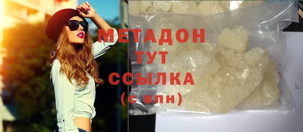 прущие грибы Вяземский