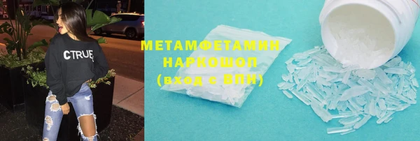 прущие грибы Вяземский