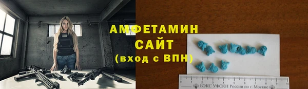 прущие грибы Вяземский