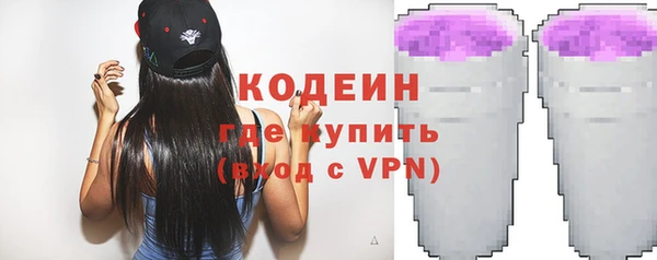 прущие грибы Вяземский