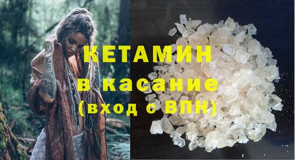 прущие грибы Вяземский