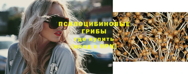 прущие грибы Вяземский