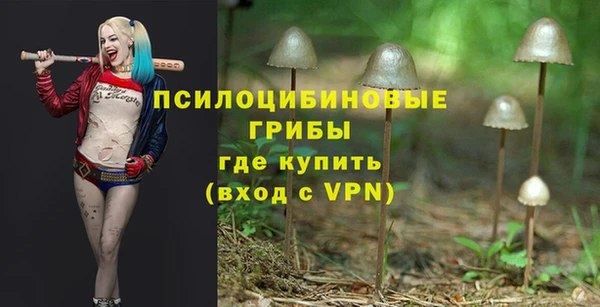 первитин Вязники