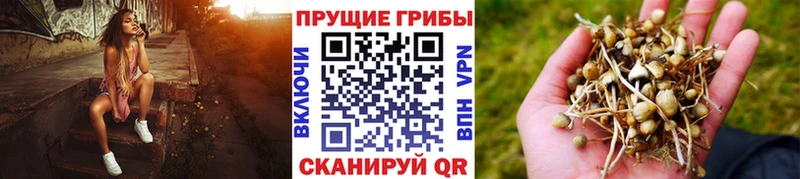 Галлюциногенные грибы Psilocybine cubensis  наркотики  ссылка на мегу вход  Ворсма 